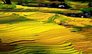 5 điểm đến ngắm ruộng bậc thang tuyệt đẹp ở Tây Bắc