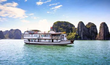 Cozy Bay Cruise Hạ Long – Chương trình trọn gói 2 Ngày 1 Đêm