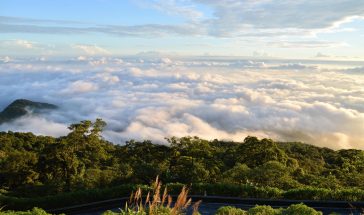 Du lịch Ba Vì 2026: Kinh nghiệm ăn chơi, giá vé & lịch trình từ A-Z