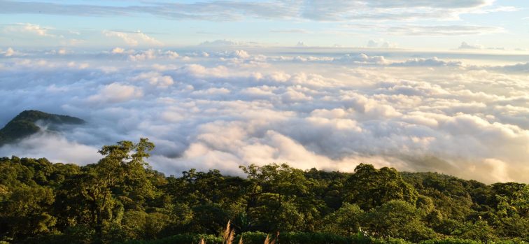 Du lịch Ba Vì 2026: Kinh nghiệm ăn chơi, giá vé & lịch trình từ A-Z