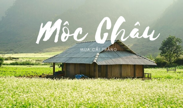 Du Lịch Mộc Châu: Cẩm Nang Từ A-Z Và Top 15+ Địa Điểm Trứ Danh