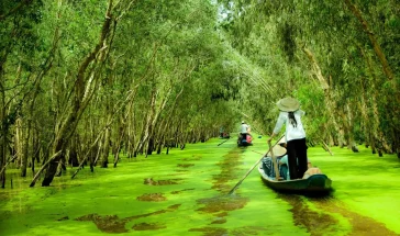 Du Lịch An Giang 2026: Kinh Nghiệm Khám Phá Núi Cấm, Rừng Tràm Trà Sư Và Những Điểm Đến Nổi Tiếng Nhất Miền Tây
