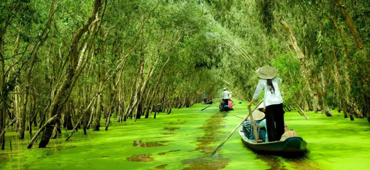 Du Lịch An Giang 2026: Kinh Nghiệm Khám Phá Núi Cấm, Rừng Tràm Trà Sư Và Những Điểm Đến Nổi Tiếng Nhất Miền Tây