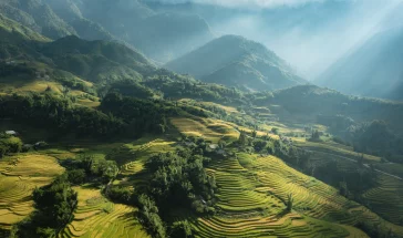 Du lịch Sapa 2026: Trọn Bộ Kinh Nghiệm Đi Tự Túc, Địa Điểm Đẹp Và Cơ Hội Kinh Doanh Du Lịch Hấp Dẫn