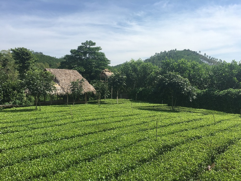 Bản Ven Yên Thế